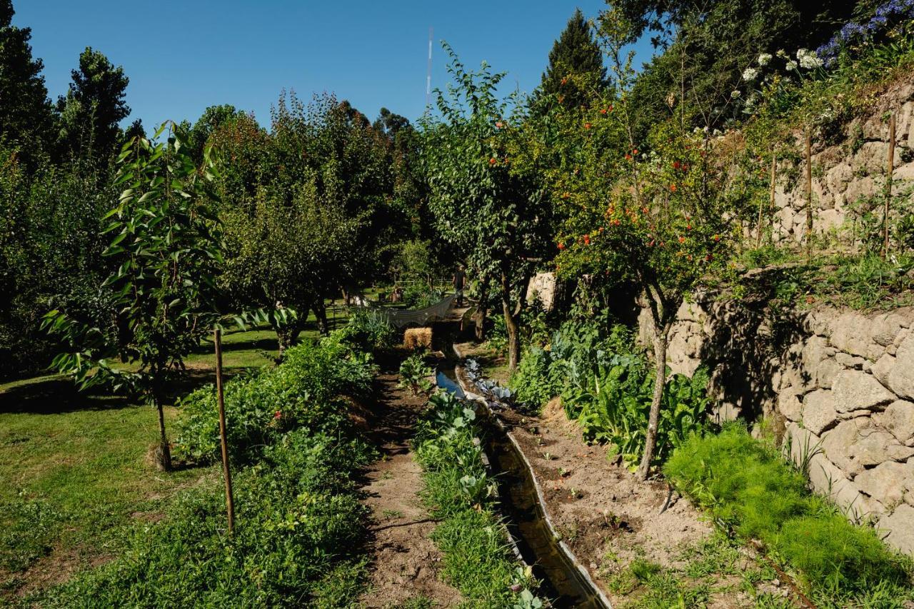 Casa Agricola Da Levada Eco Village Vila Real Eksteriør bilde
