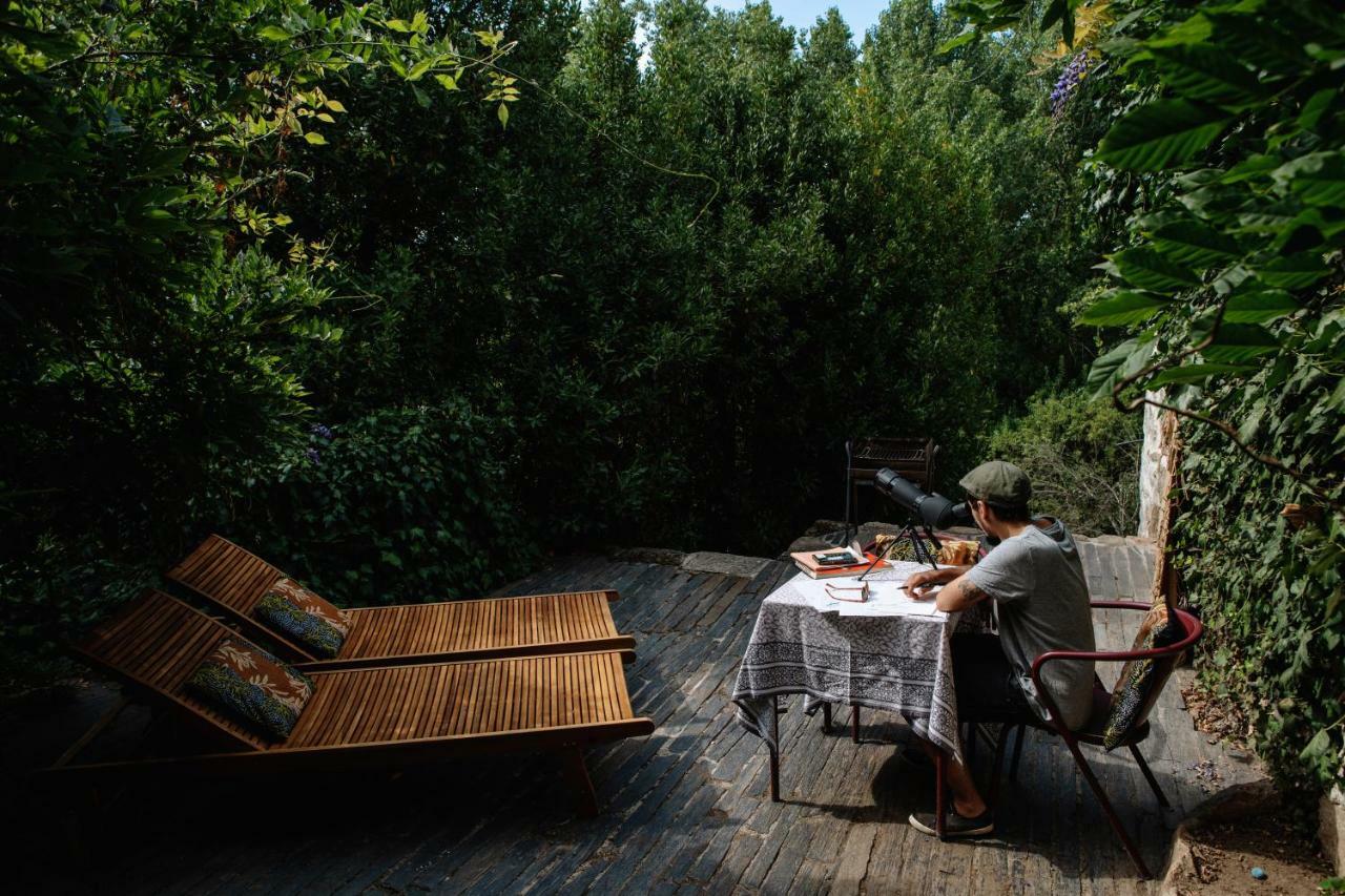 Casa Agricola Da Levada Eco Village Vila Real Eksteriør bilde